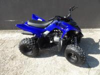 YAMAHA YFM 110 RAPTOR